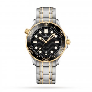 Omega montre seamaster pro-diver 300 pour homme O21020422001002