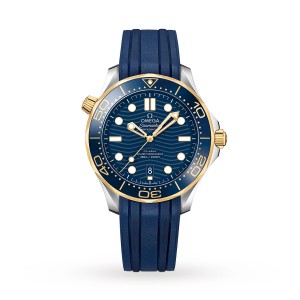 Omega montre seamaster pro-diver 300 pour homme O21022422003001